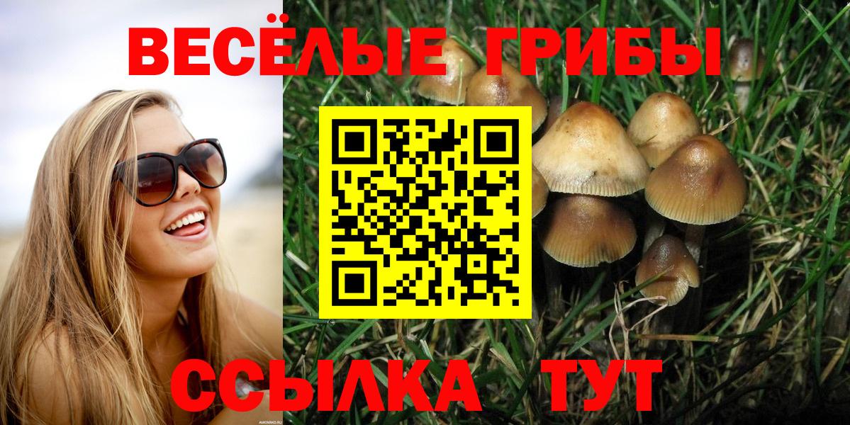 Галлюциногенные грибы ЛСД Волгодонск