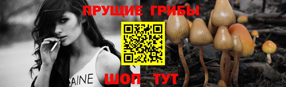 Волгодонск  Псилоцибиновые грибы мицелий  Вход с VPN 